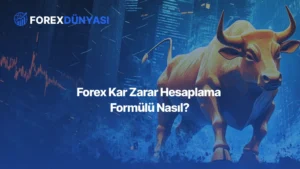 Forex Kar Zarar Hesaplama Formülü Nasıl Yapılır?